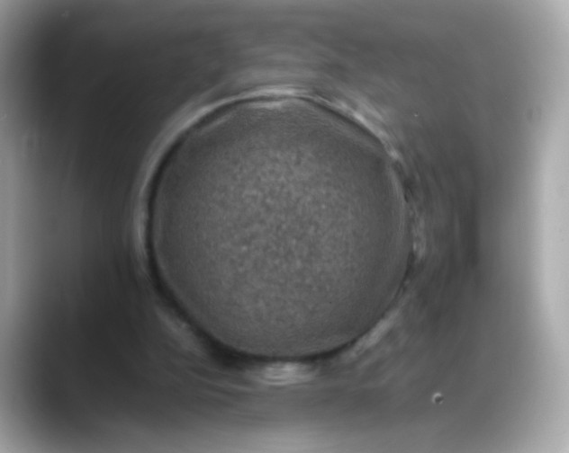 X0000088400152200706051142