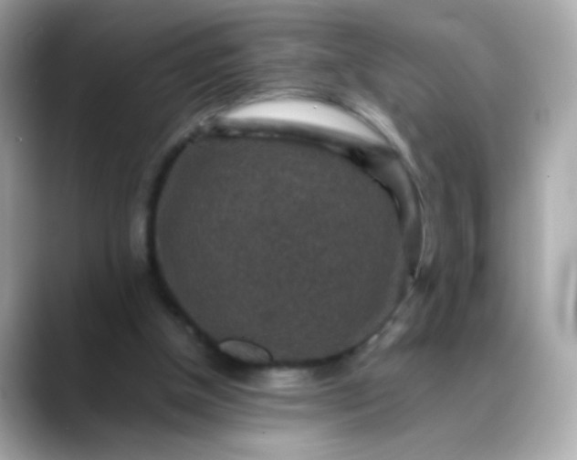 X0000088400154200706051142