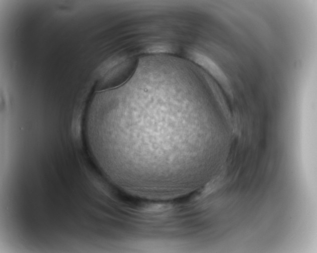 X0000088400155200706051142