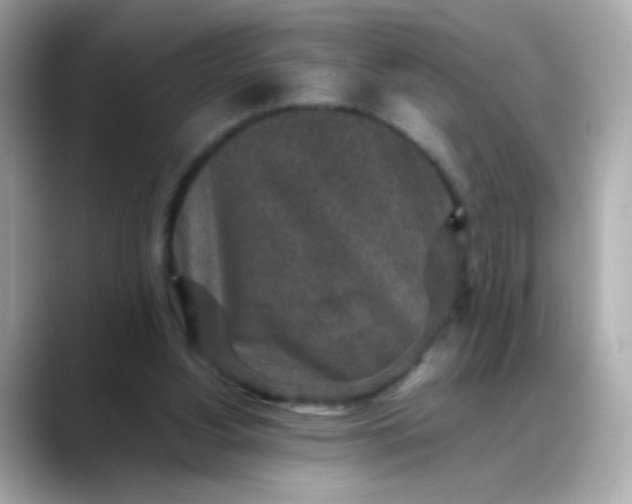 X0000088400156200706051142