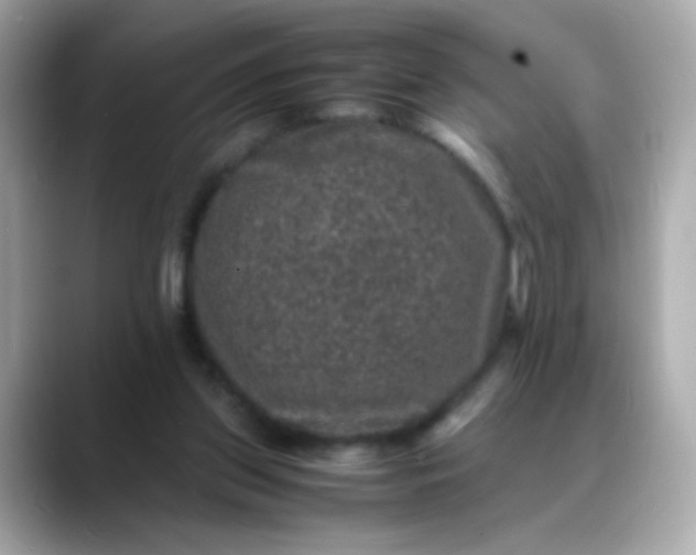 X0000088400157200706051142