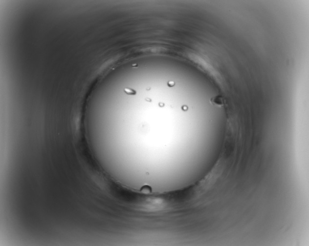 X0000088400159200706051142