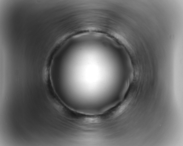 X0000088400160200706051142