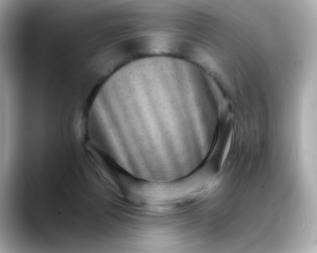 X0000088400164200706051142