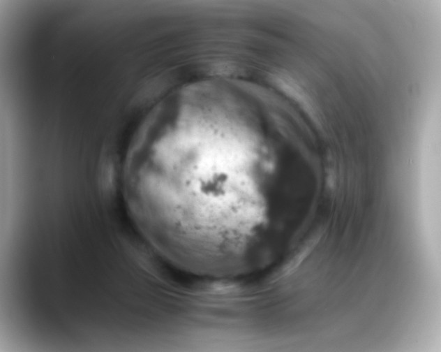 X0000088400165200706051142