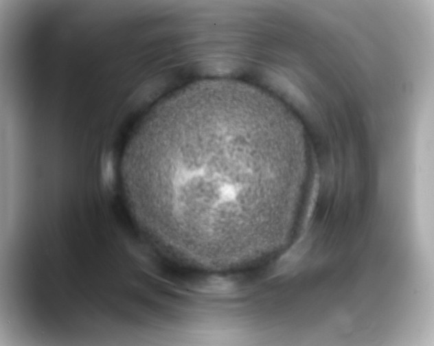 X0000088400166200706051142