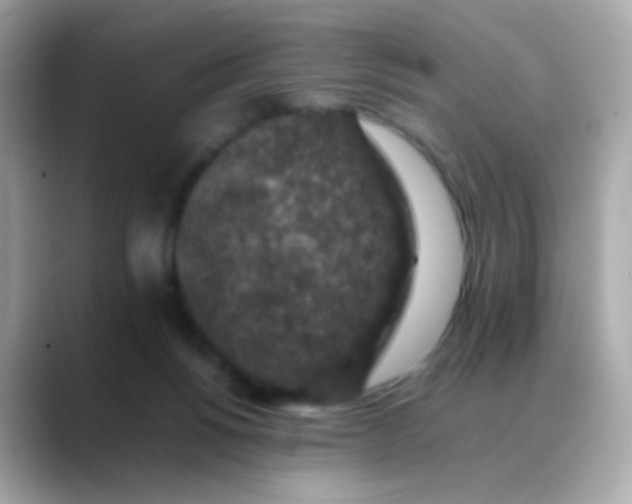 X0000088400168200706051142