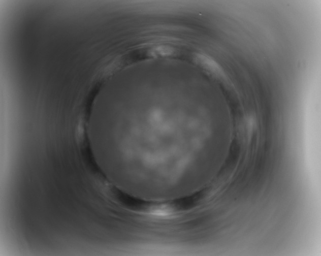 X0000088400169200706051142