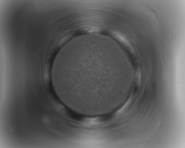 X0000088400170200706051142