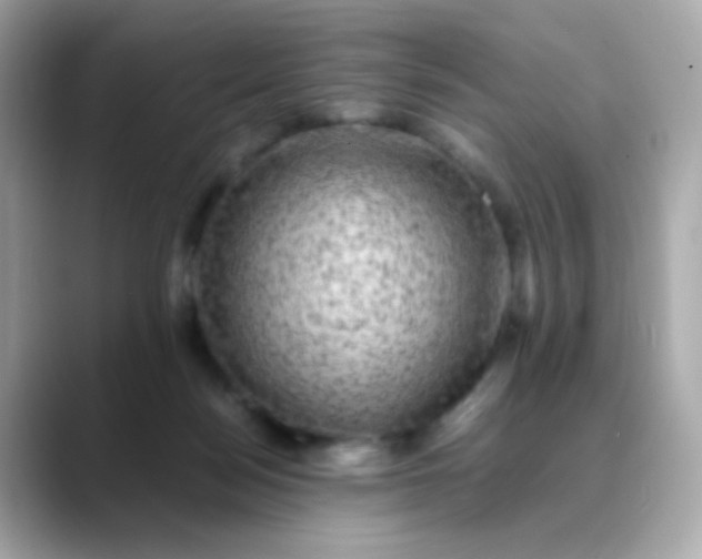 X0000088400172200706051142