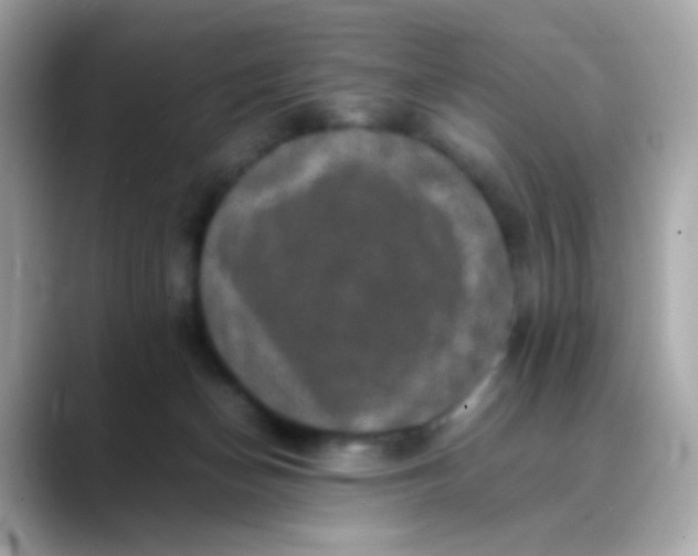 X0000088400174200706051142