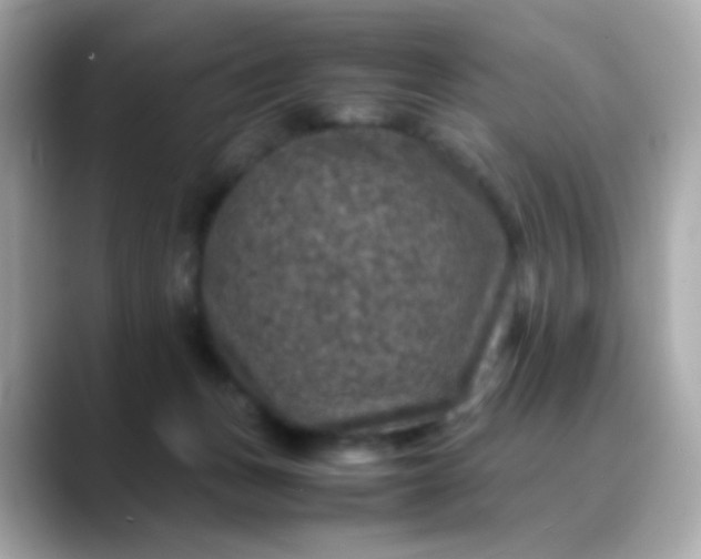 X0000088400175200706051142