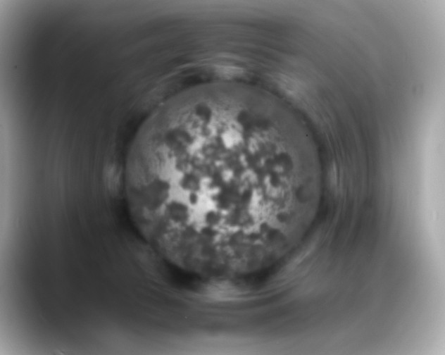 X0000088400177200706051142