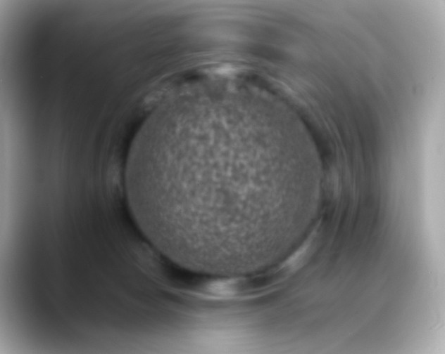 X0000088400178200706051142