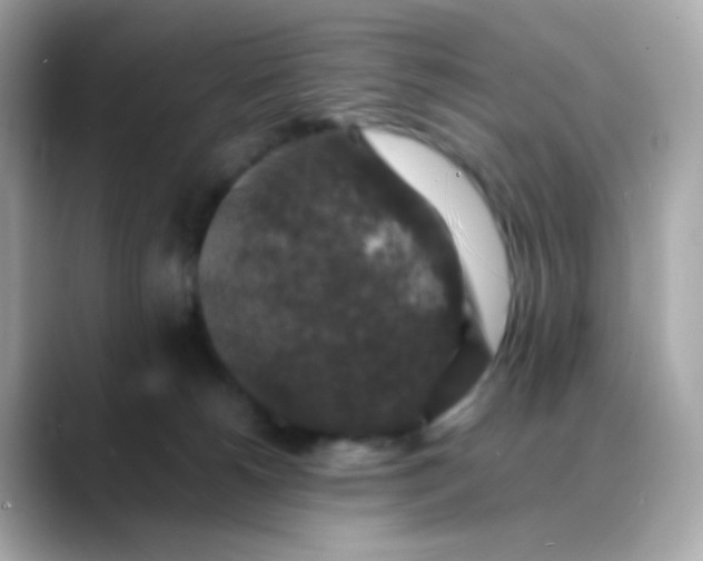 X0000088400180200706051142