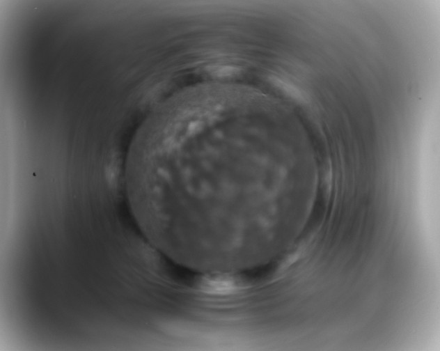 X0000088400181200706051142