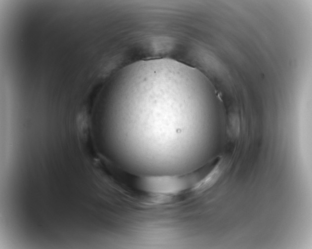 X0000088400184200706051142