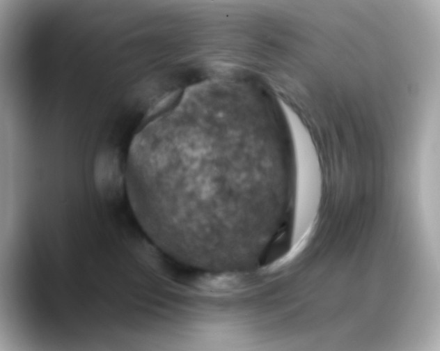 X0000088400186200706051142