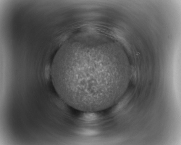 X0000088400189200706051142