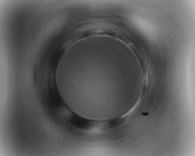 X0000088400191200706051142