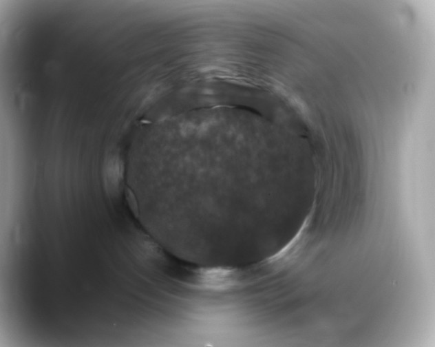 X0000088400192200706051142