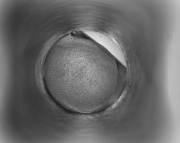 X0000088400193200706051142