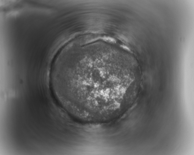 X0000088400194200706051142