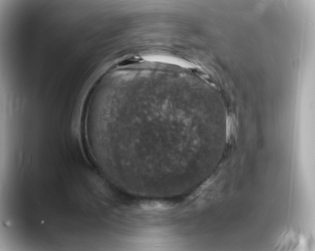 X0000088400195200706051142