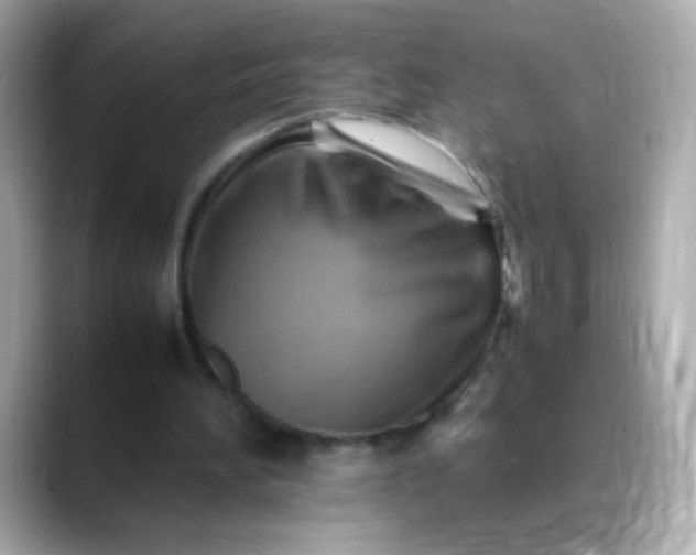 X0000088400196200706051142