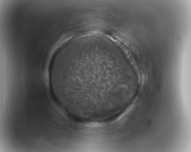 X0000088400198200706051142