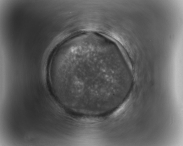 X0000088400199200706051142