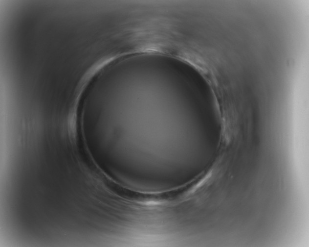 X0000088400200200706051142