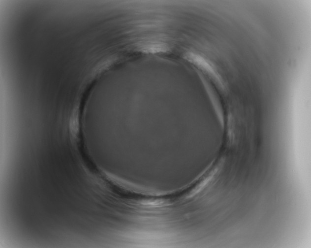 X0000088400202200706051142