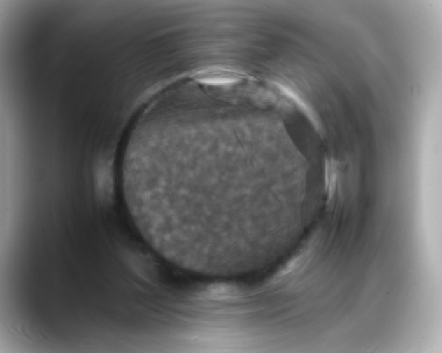 X0000088400204200706051142