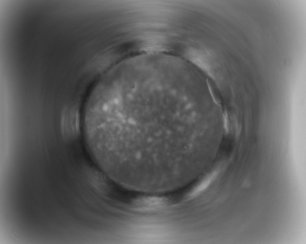 X0000088400205200706051142