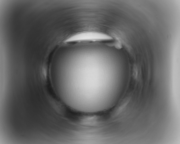 X0000088400206200706051142