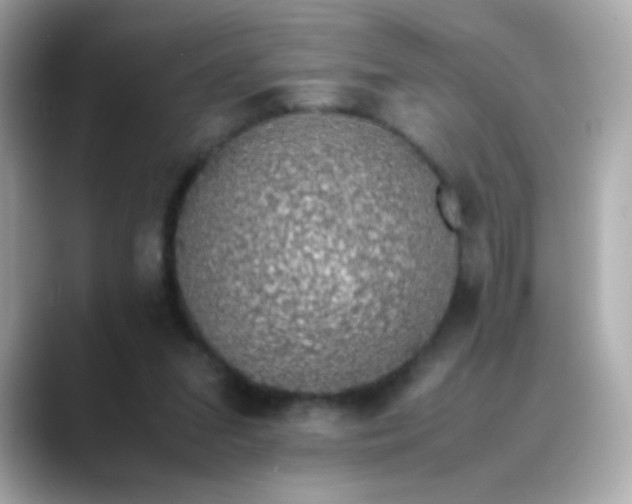 X0000088400207200706051142