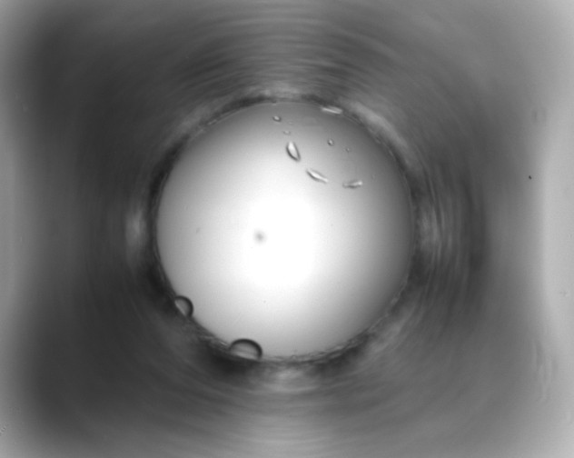 X0000088400208200706051142