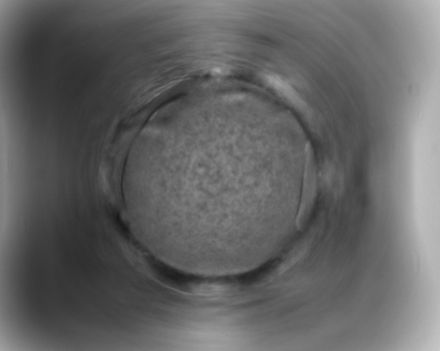 X0000088400209200706051142