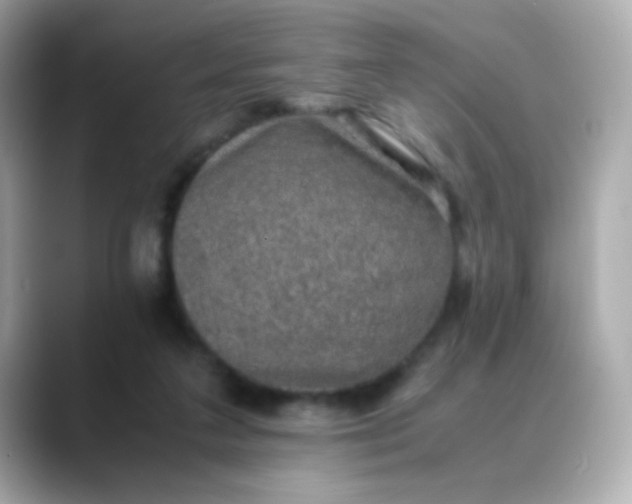 X0000088400211200706051141