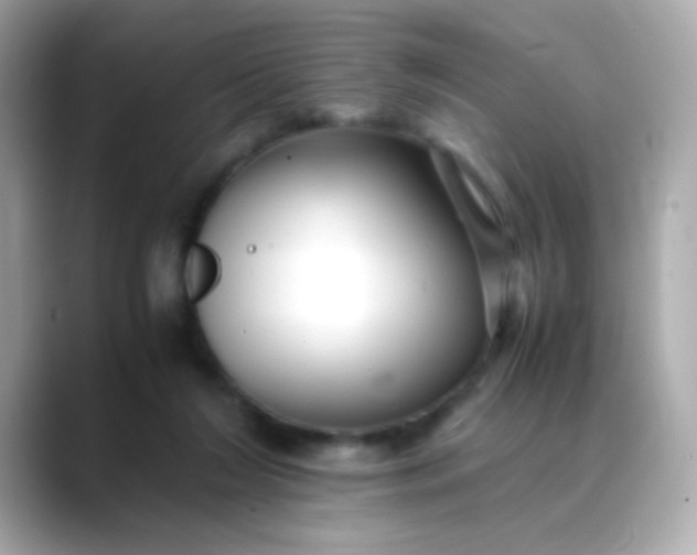 X0000088400212200706051141