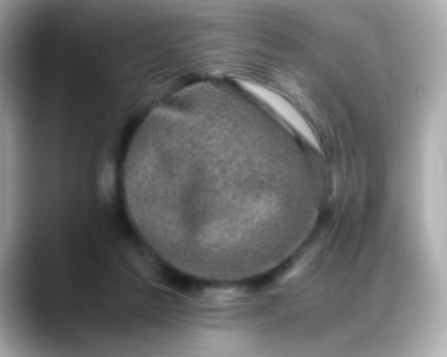 X0000088400213200706051141