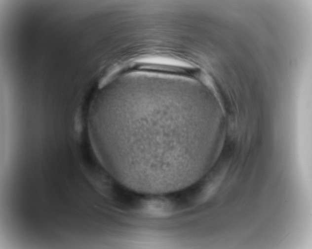 X0000088400215200706051141