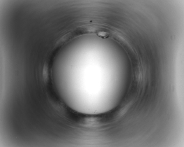 X0000088400216200706051141