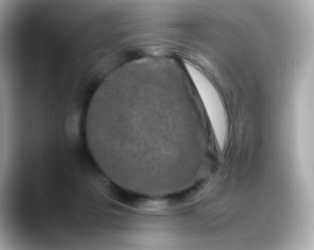 X0000088400217200706051141