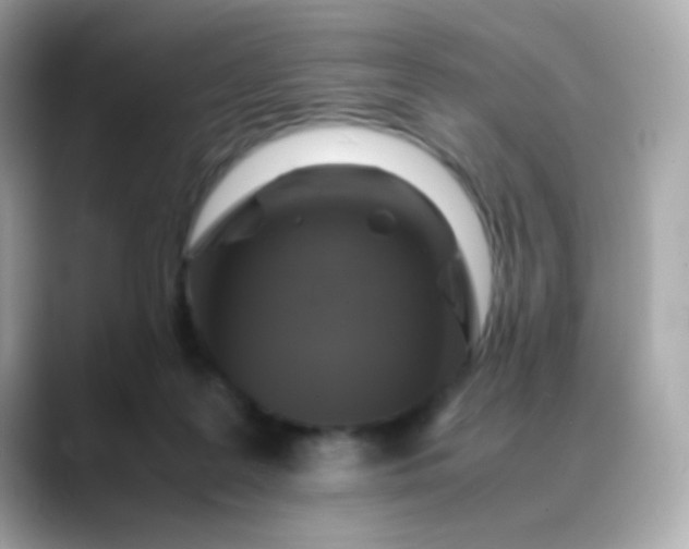 X0000088400219200706051141