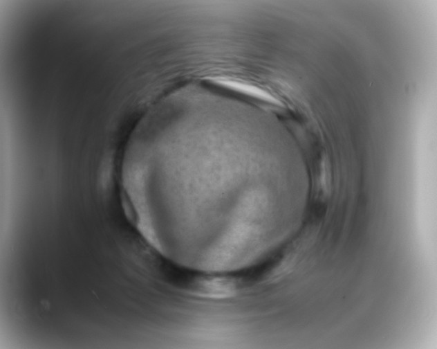 X0000088400221200706051141