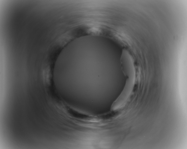 X0000088400223200706051141