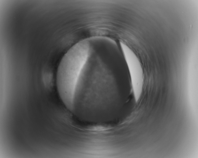 X0000088400224200706051141