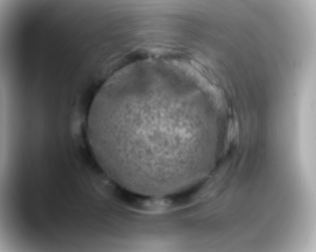 X0000088400225200706051141